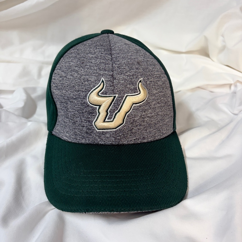Gray and Green Cap with Bull Logo